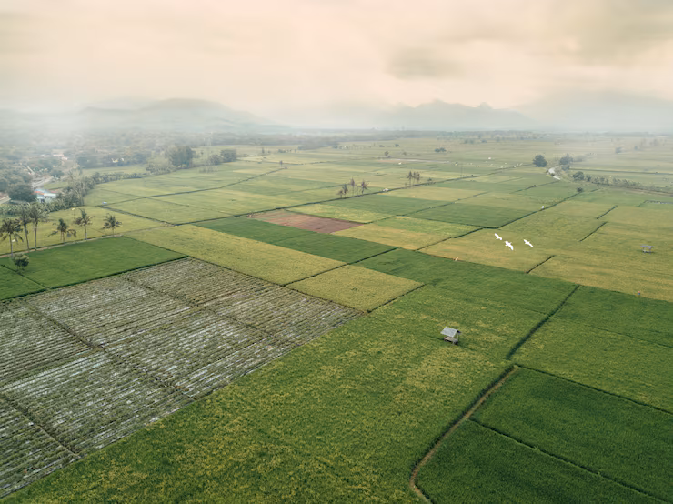 Individual Agriculture Land